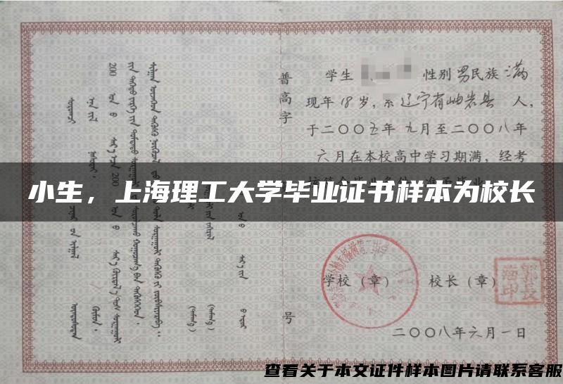 小生，上海理工大学毕业证书样本为校长