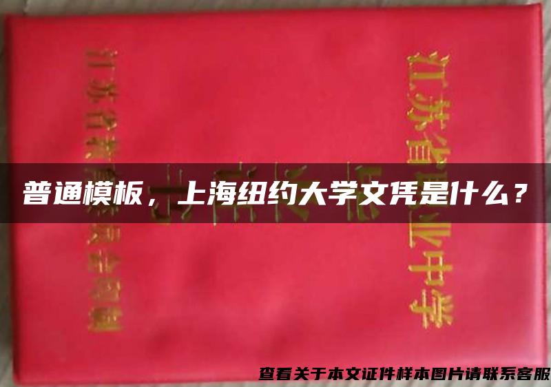 普通模板，上海纽约大学文凭是什么？