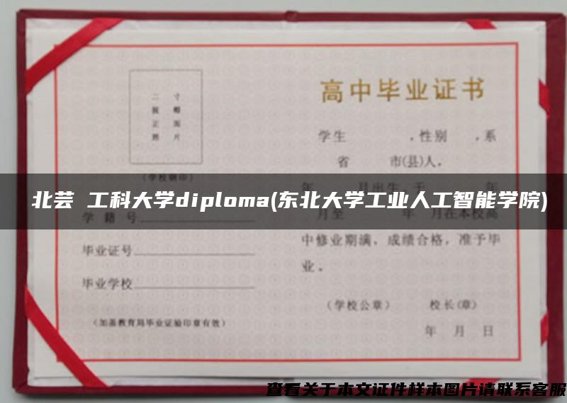 東北芸術工科大学diploma(东北大学工业人工智能学院)