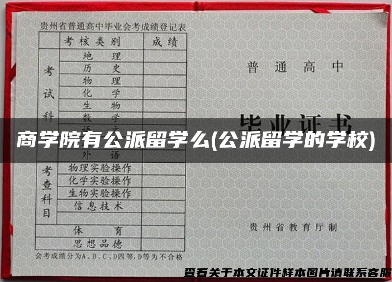 商学院有公派留学么(公派留学的学校)