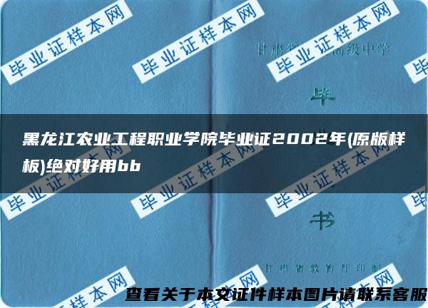 黑龙江农业工程职业学院毕业证2002年(原版样板)绝对好用bb