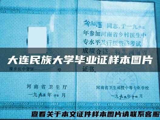 大连民族大学毕业证样本图片