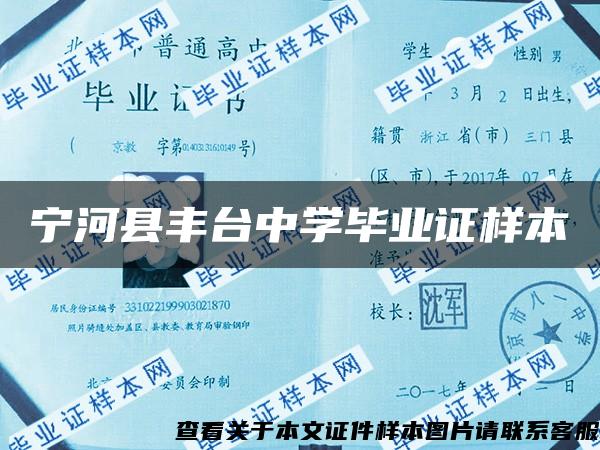 宁河县丰台中学毕业证样本