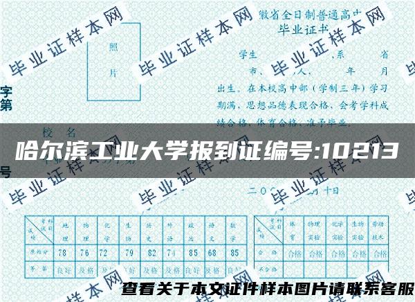 哈尔滨工业大学报到证编号:10213