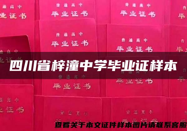 四川省梓潼中学毕业证样本