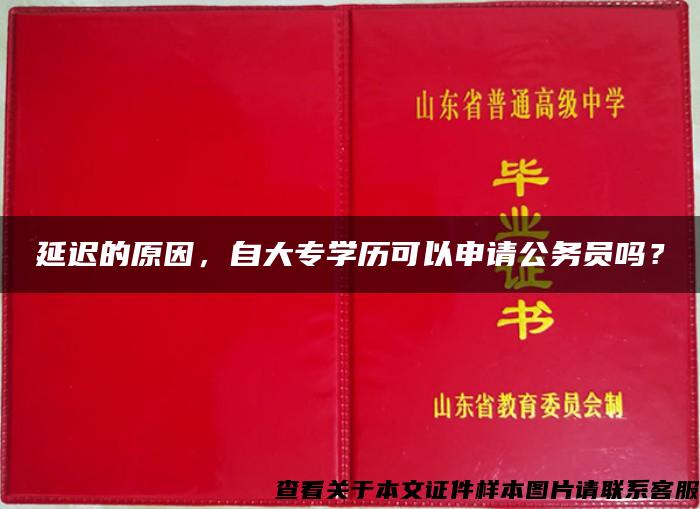 延迟的原因，自大专学历可以申请公务员吗？