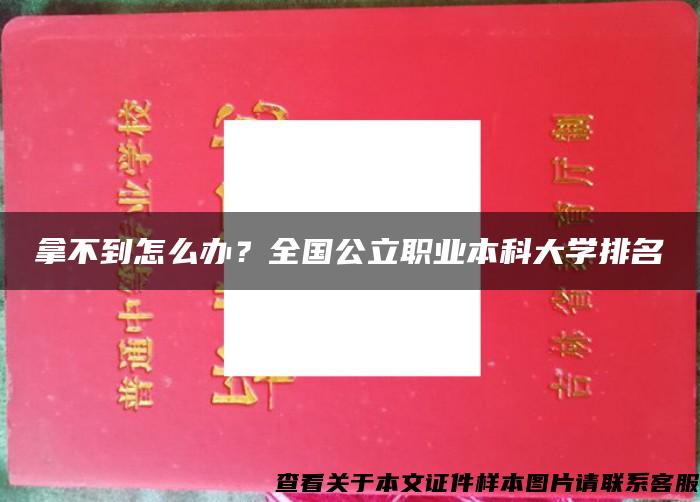 拿不到怎么办？全国公立职业本科大学排名