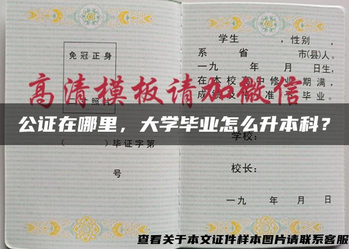 公证在哪里，大学毕业怎么升本科？