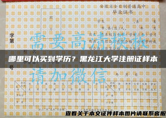 哪里可以买到学历？黑龙江大学注册证样本