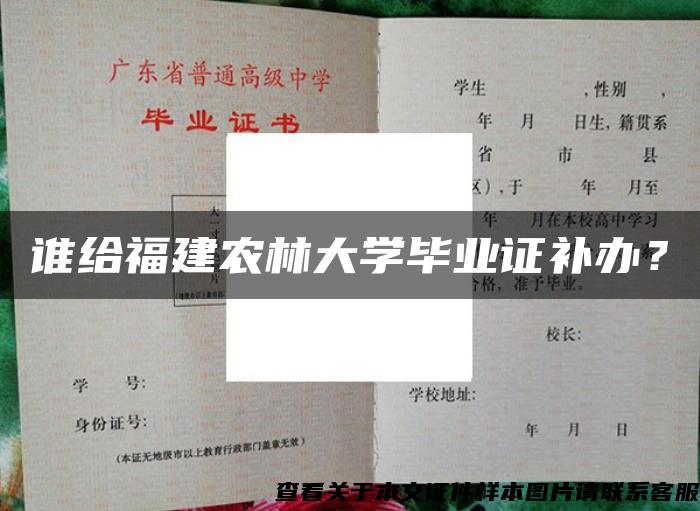 谁给福建农林大学毕业证补办？