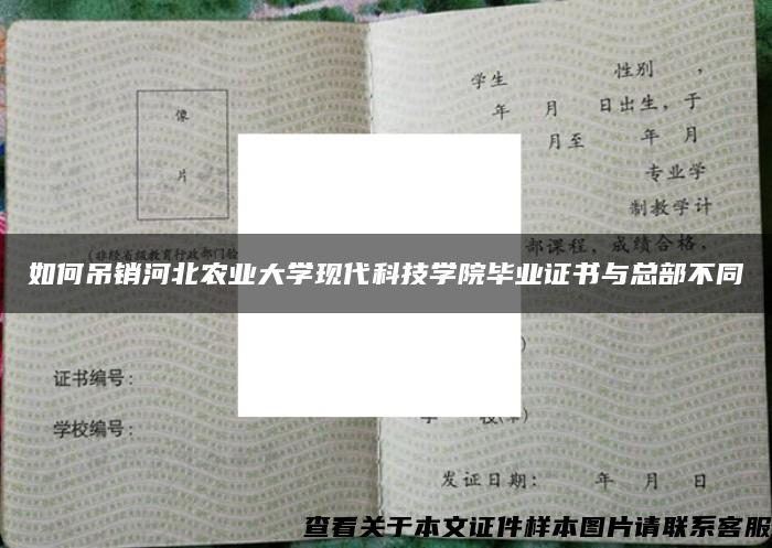 如何吊销河北农业大学现代科技学院毕业证书与总部不同