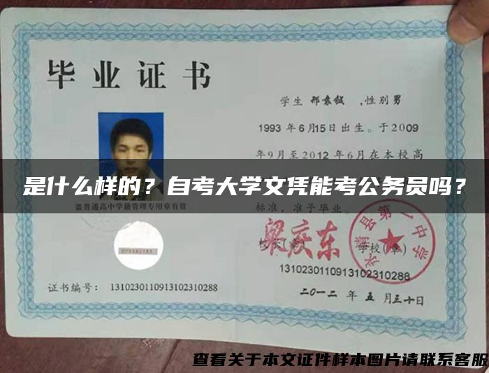 是什么样的？自考大学文凭能考公务员吗？