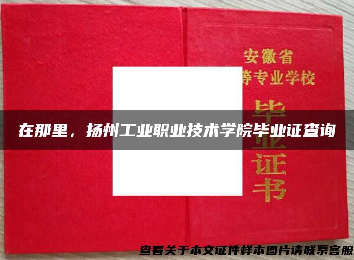 在那里，扬州工业职业技术学院毕业证查询