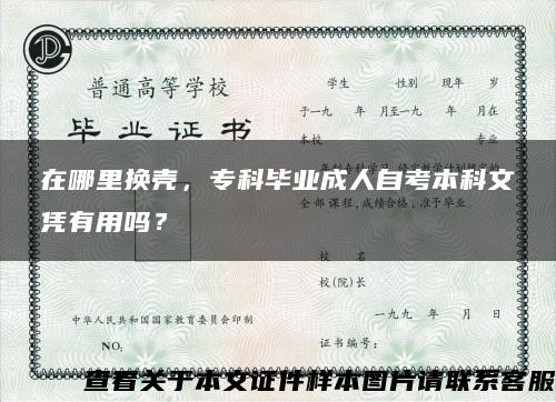 在哪里换壳，专科毕业成人自考本科文凭有用吗？