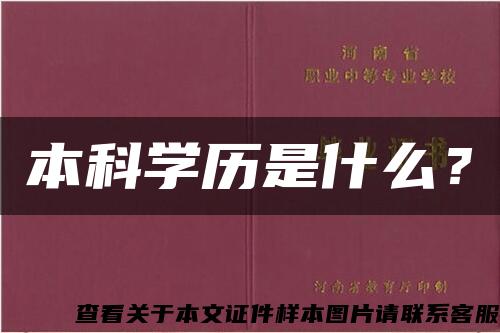 本科学历是什么？