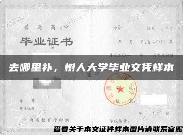 去哪里补，树人大学毕业文凭样本