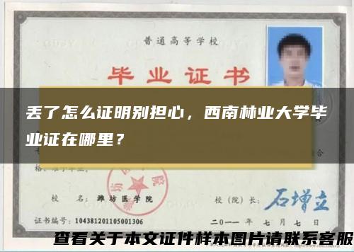 丢了怎么证明别担心，西南林业大学毕业证在哪里？