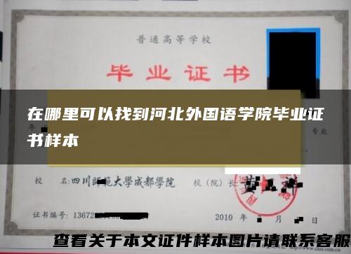 在哪里可以找到河北外国语学院毕业证书样本