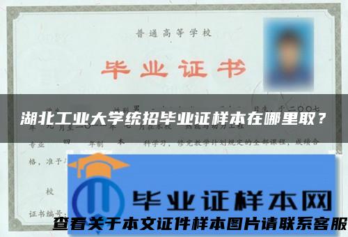 湖北工业大学统招毕业证样本在哪里取？