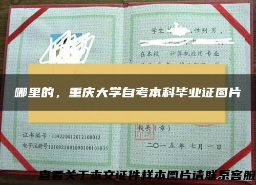 哪里的，重庆大学自考本科毕业证图片