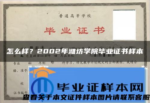 怎么样？2002年潍坊学院毕业证书样本