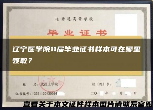 辽宁医学院11届毕业证书样本可在哪里领取？