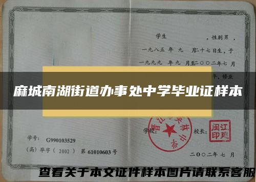 麻城南湖街道办事处中学毕业证样本