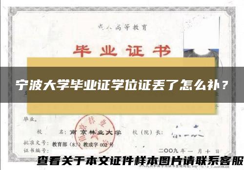 宁波大学毕业证学位证丢了怎么补？