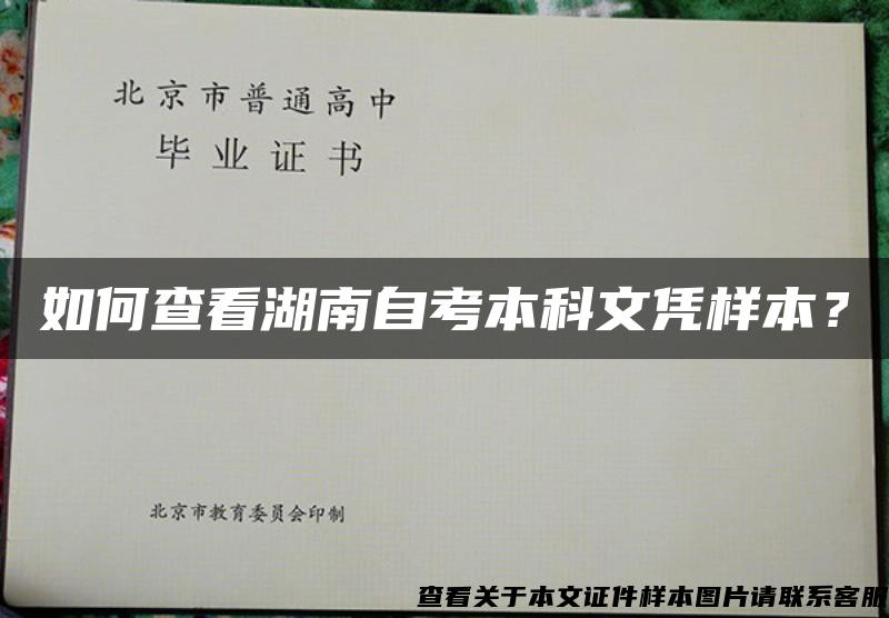 如何查看湖南自考本科文凭样本？