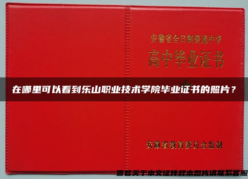 在哪里可以看到乐山职业技术学院毕业证书的照片？