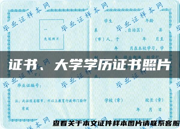 证书、大学学历证书照片