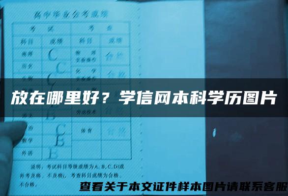 放在哪里好？学信网本科学历图片