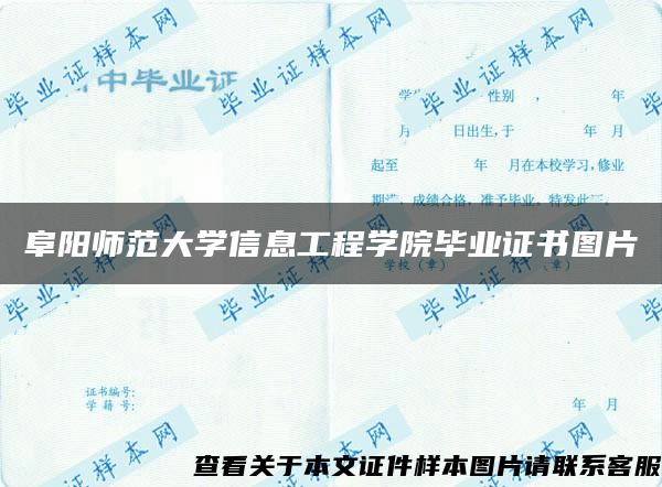 阜阳师范大学信息工程学院毕业证书图片