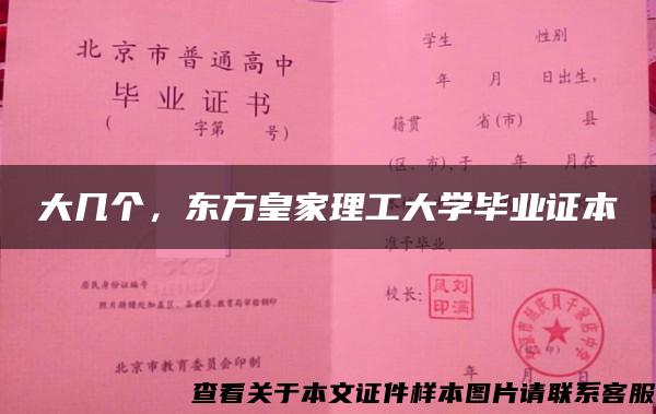 大几个，东方皇家理工大学毕业证本