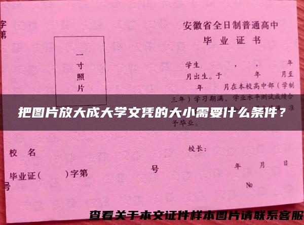 把图片放大成大学文凭的大小需要什么条件？