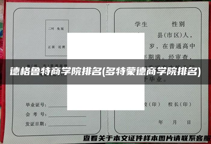 德格鲁特商学院排名(多特蒙德商学院排名)