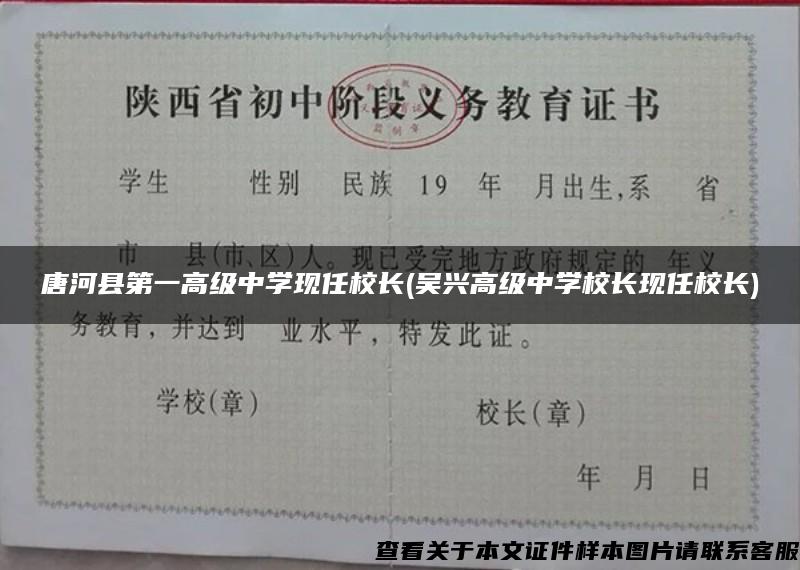 唐河县第一高级中学现任校长(吴兴高级中学校长现任校长)