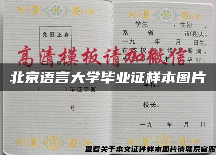 北京语言大学毕业证样本图片