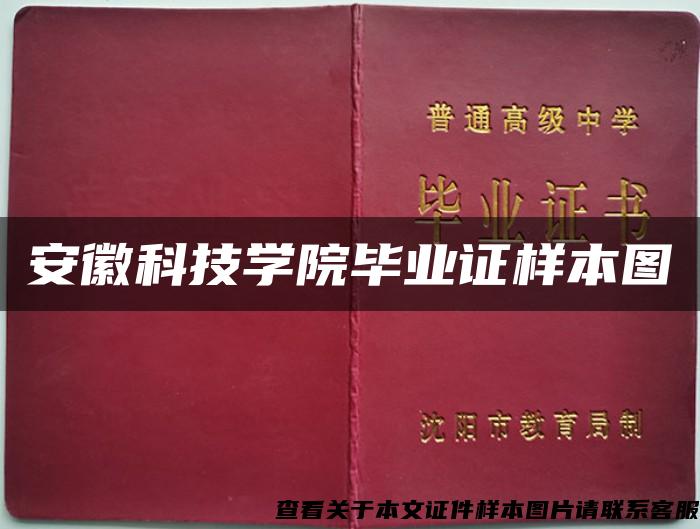 安徽科技学院毕业证样本图