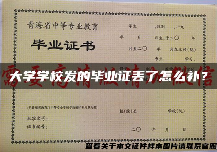 大学学校发的毕业证丢了怎么补？