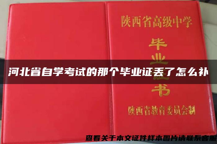 河北省自学考试的那个毕业证丢了怎么补