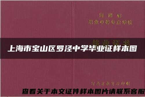 上海市宝山区罗泾中学毕业证样本图