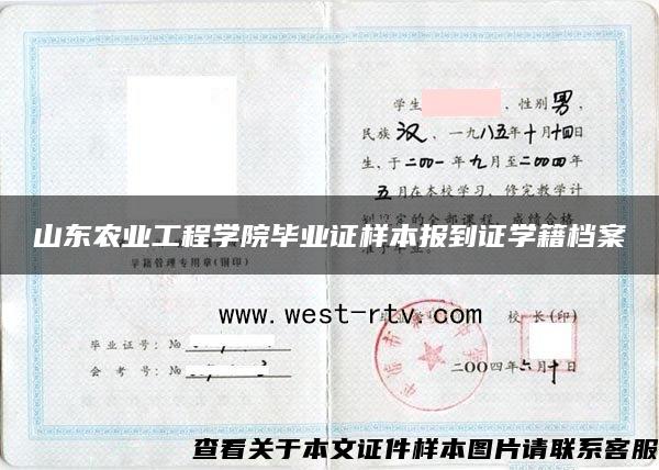 山东农业工程学院毕业证样本报到证学籍档案