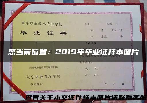 您当前位置：2019年毕业证样本图片