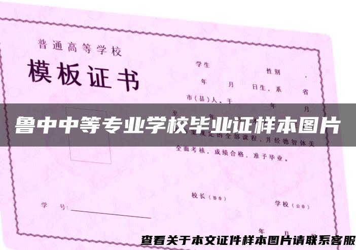 鲁中中等专业学校毕业证样本图片