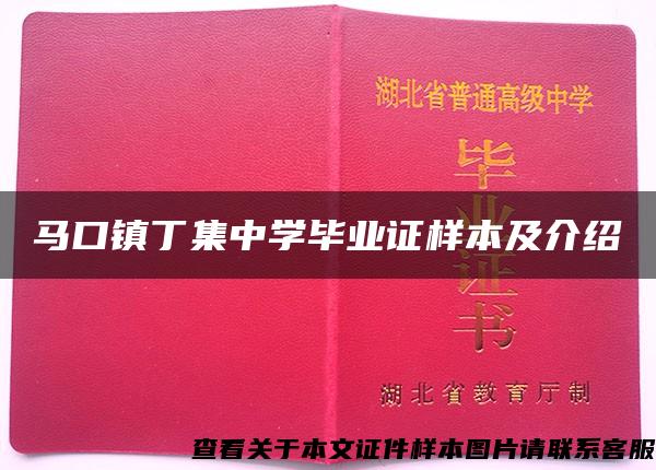 马口镇丁集中学毕业证样本及介绍