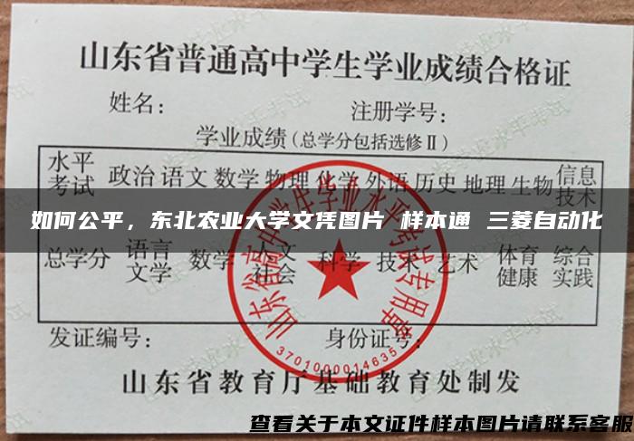 如何公平，东北农业大学文凭图片 样本通 三菱自动化