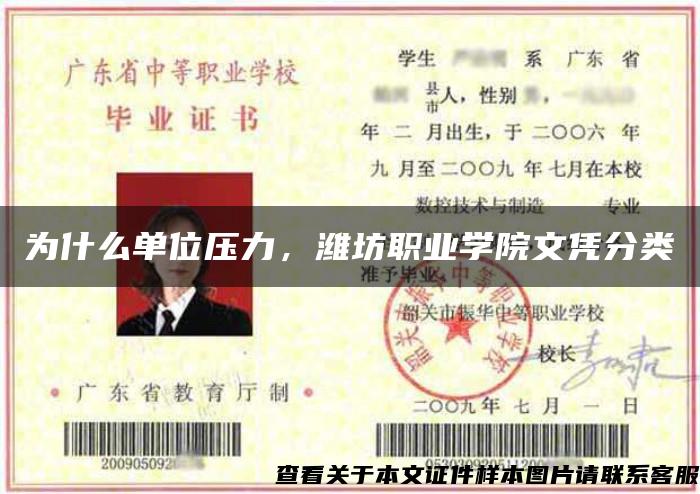 为什么单位压力，潍坊职业学院文凭分类