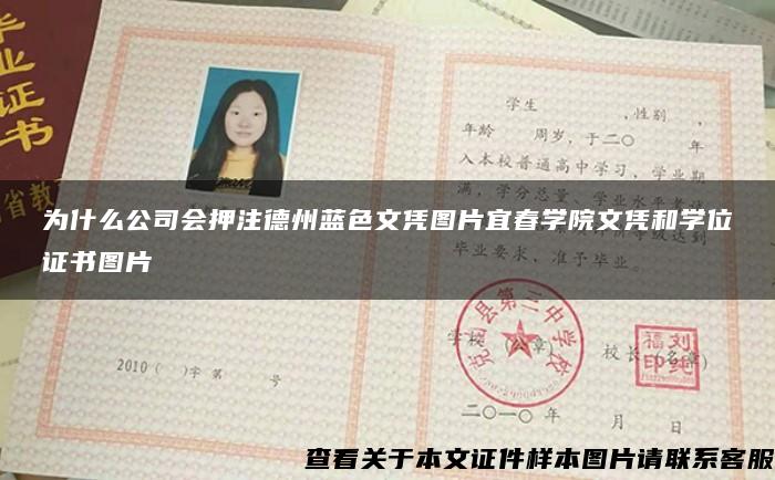 为什么公司会押注德州蓝色文凭图片宜春学院文凭和学位证书图片