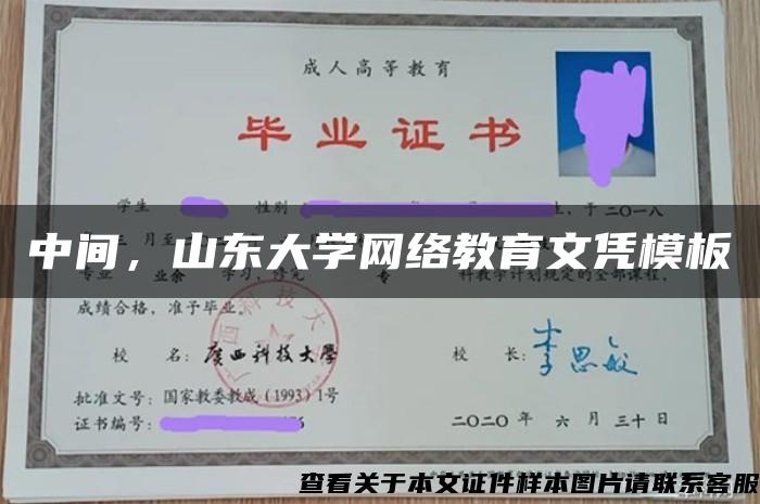 中间，山东大学网络教育文凭模板